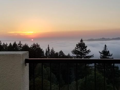 Henry Cowell Redwoods State Park, Felton airbnb, hotels and vacation