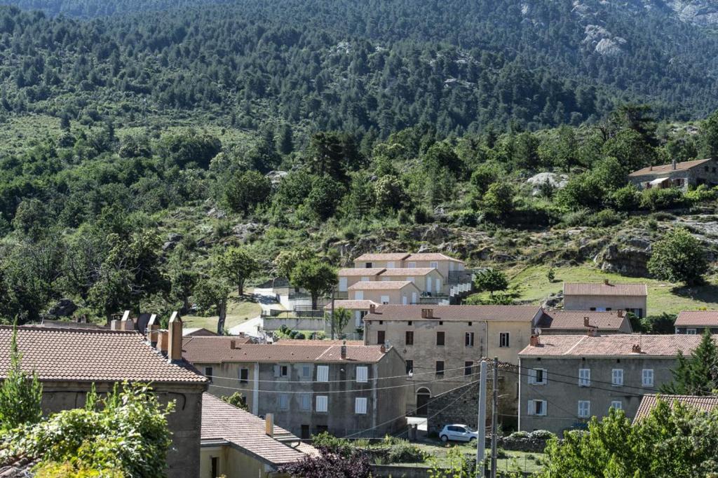 Terrasse De Malbeccu - Korsika