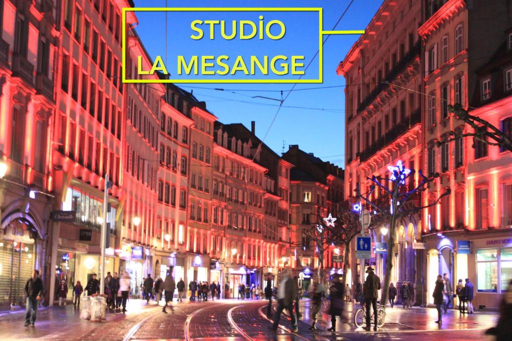 Studio La Mésange - Strasbourg