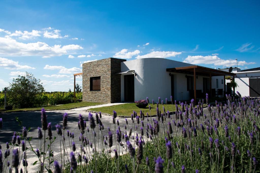 Pizzorno Lodge & Wine - Uruguay