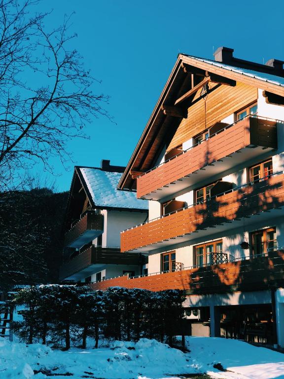Dachstein view ski apartment - Gosau