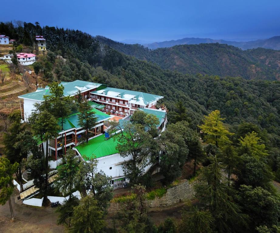 Treehouse Chail Villas - Shimla