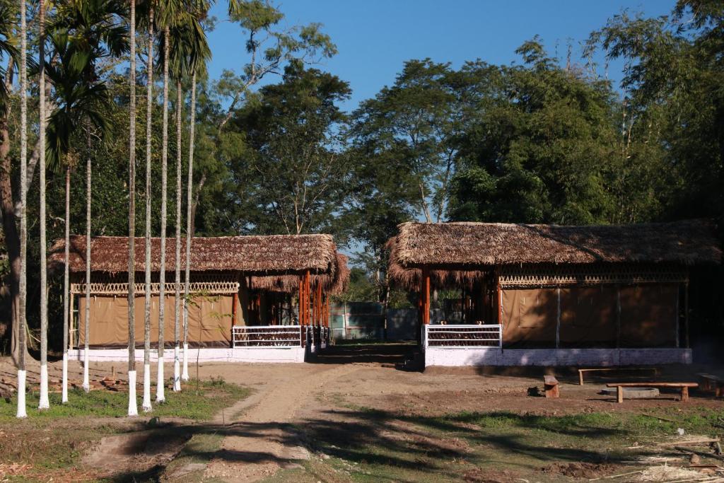Kaziranga Eco Camp - Assam