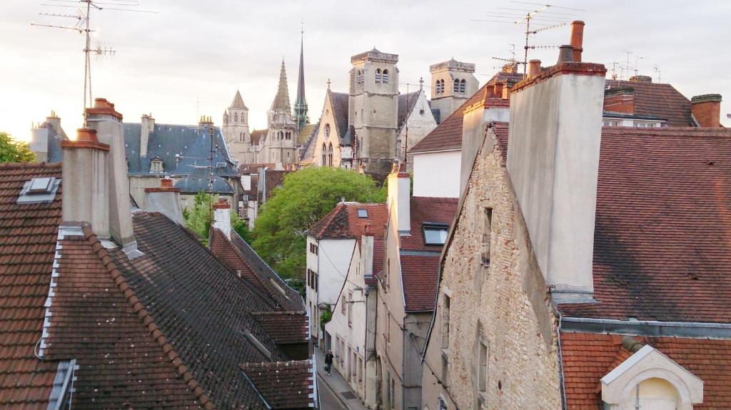 Apartment Bonnard - Best View In Dijon - Dijon