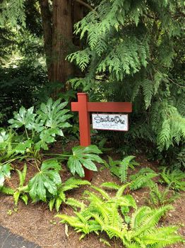 Powell River Apartments and Condos For Rent cozycozy