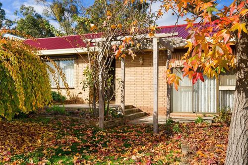 Castlemaine Vacation Rentals and Airbnb cozycozy