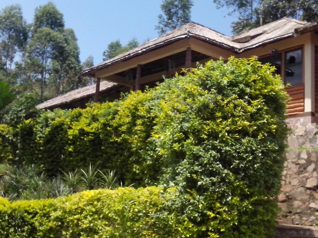 Bwindi Forest Lodge - Ouganda