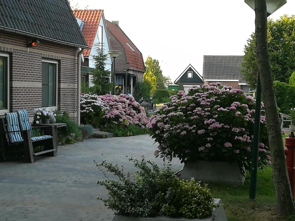 Appartement De Molshoop Ii - Ámsterdam