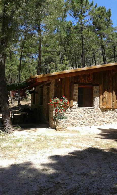 Cabaña en plena naturaleza Parque Natural Río mundo - Spanien