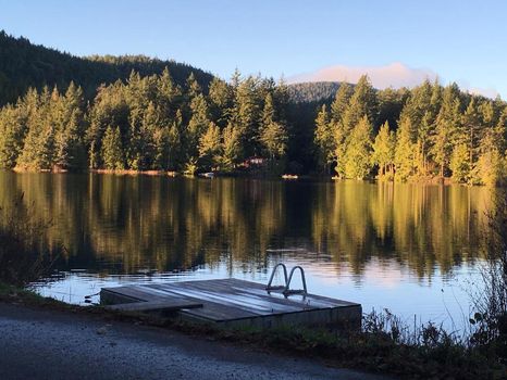 Vancouver Island Vacation Rentals and Airbnb cozycozy