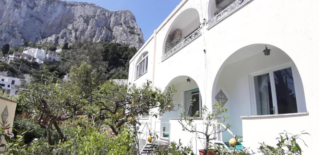 Villa Striano Capri - Guest House - Rooms Garden & Art - Capri