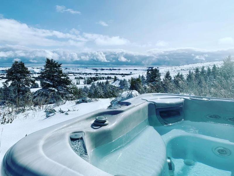 Dog Friendly Bird's Eye View with Hot Tub by AAA Red Lodge Rentals - Montana