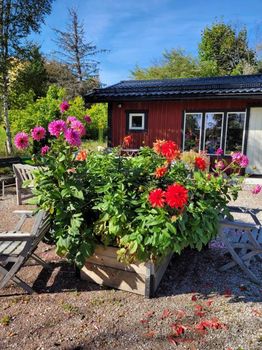 Falun Holiday Rentals and Airbnb cozycozy