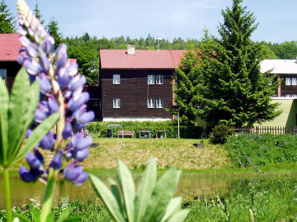Apartments In Jachymov/erzgebirge 34829 - Tschechien
