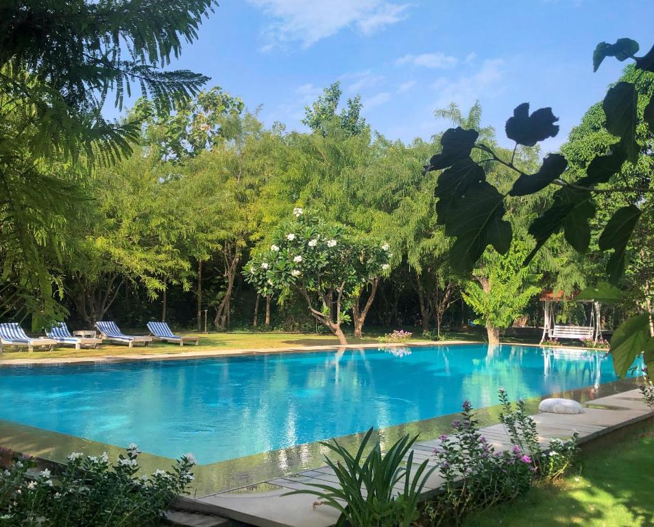 PushkarOrganic- Luxury Resort with Pool - Pushkar