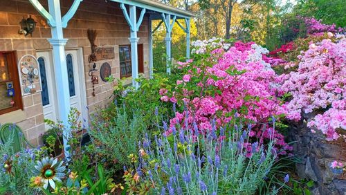 Leura Places to Stay and Lodgings cozycozy