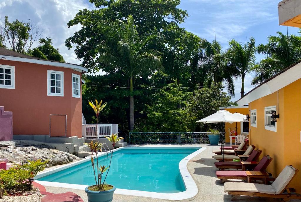 The Blue Orchid B&b - Montego Bay