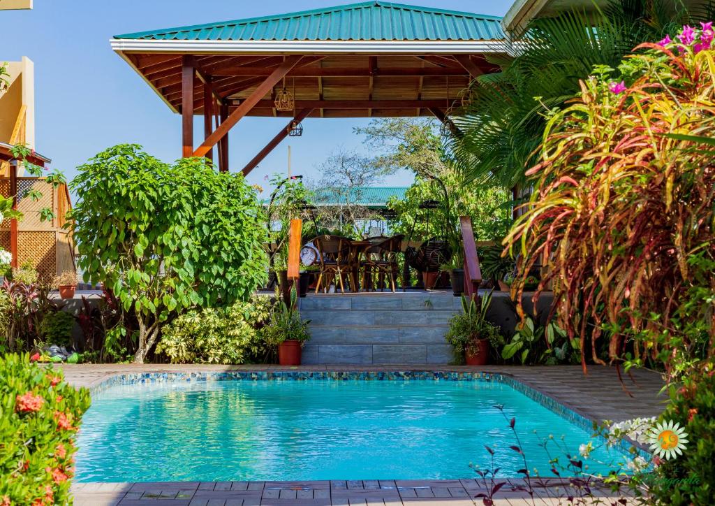 Hotel Margarita Luxurios Rooms Swimming Pool - Costa Rica