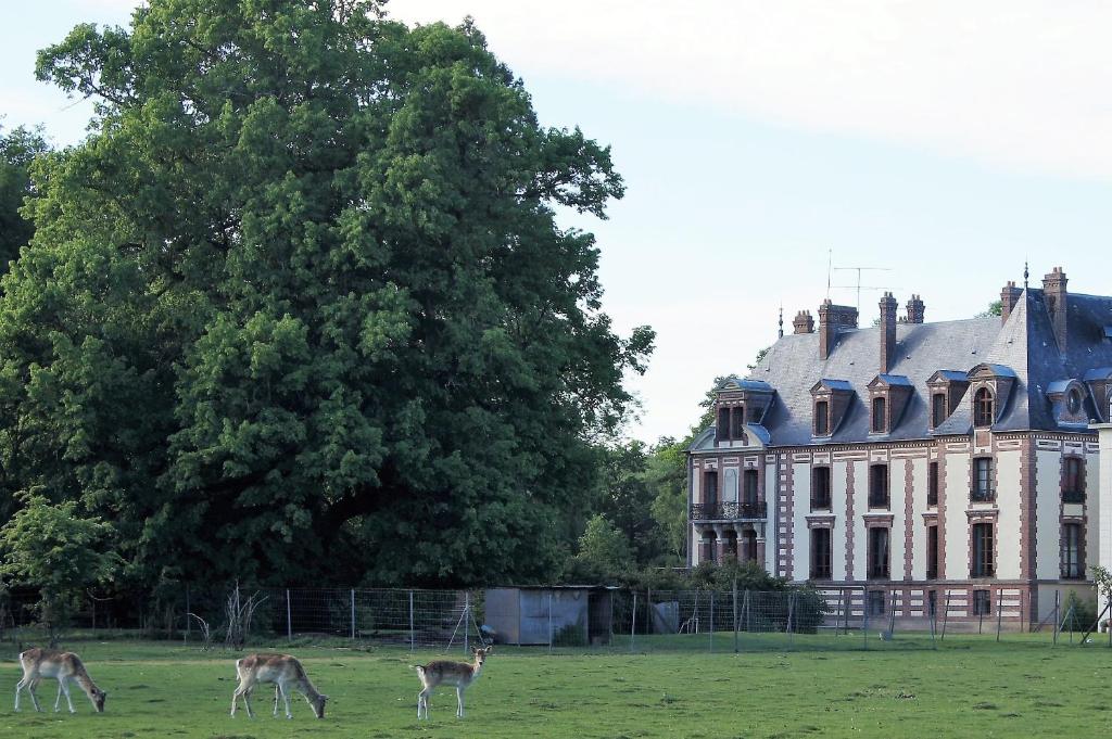 Chateau De Montlieu, Residence La Cour Du Chateau Villa 3 Chambres - Rambouillet
