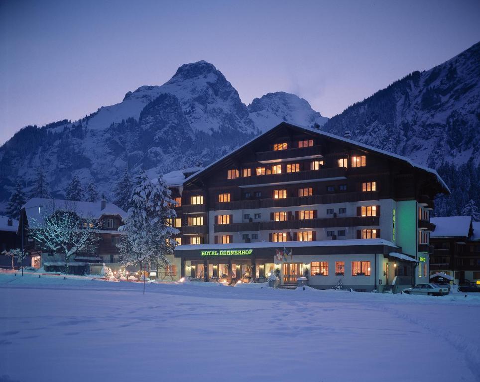 Bernerhof Swiss Quality Hotel - Kandersteg