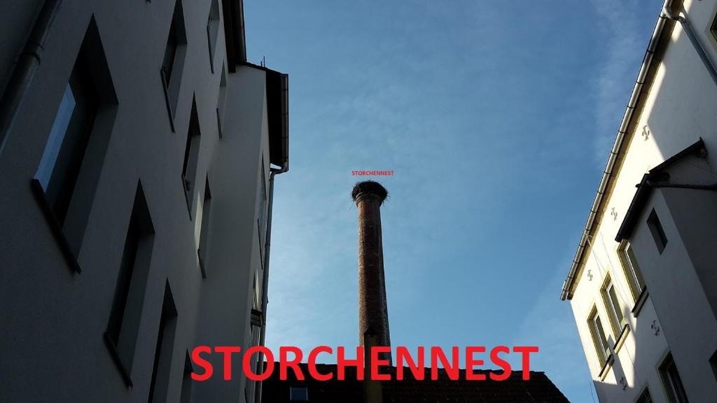 Storchennest - Bayern