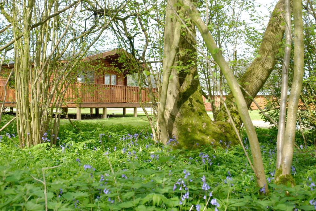South Winchester Lodges - Angleterre