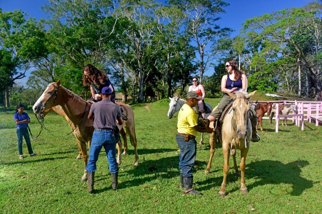 Zentrale lage, am fluss, pferde auf dem grundstück, weitläufige gärten, 'chalet' bbl - Belize