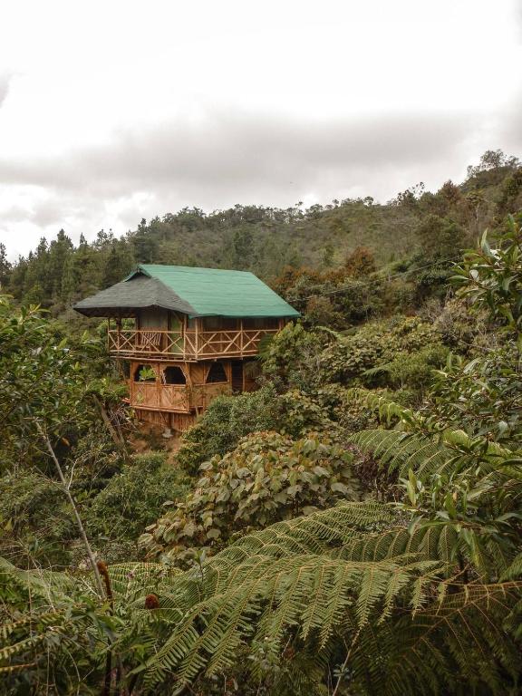 Adriana's Bambu-Lodge - Colombia