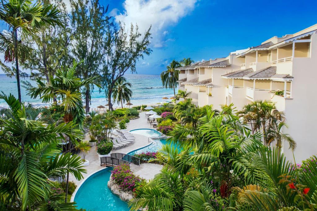 Bougainvillea Barbados - Barbados