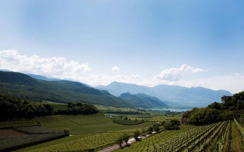 Bolzano Holiday Apartments and Self Catering cozycozy