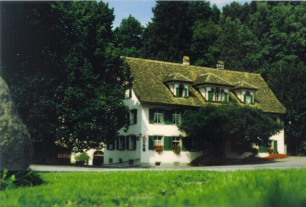 Hotel Krone Sihlbrugg - Zoug