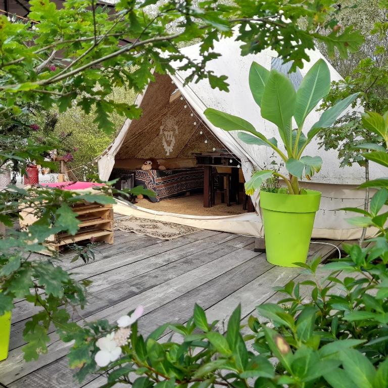 Tente Safari Lodge Dans Foret Luxuriante - Eugénie-les-Bains