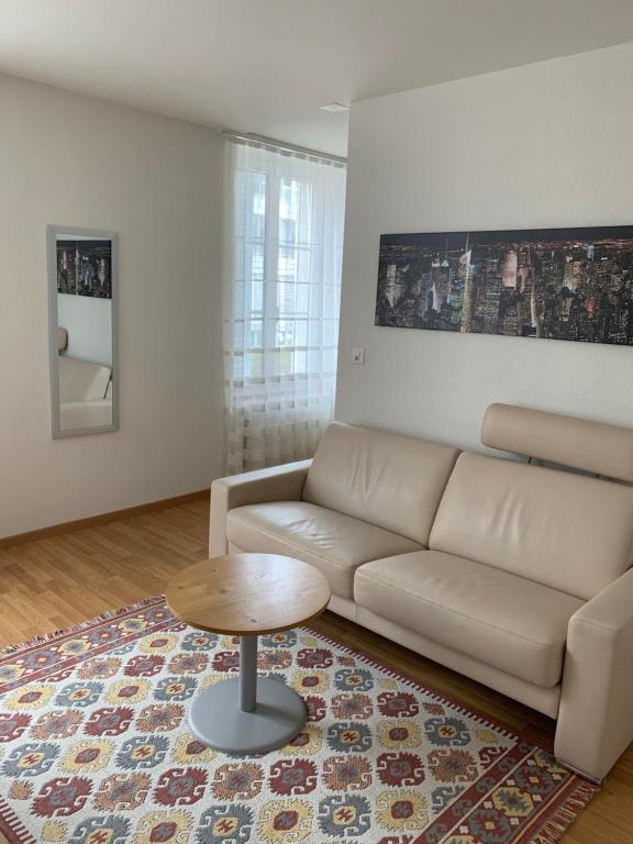 2 Zimmer Appartement - Winterthur