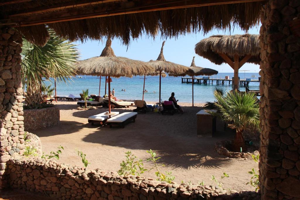 Sunshine Divers Club - Sharm El-Sheikh