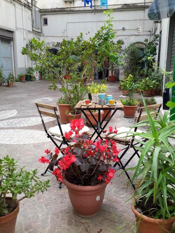 Apartment with 2 bedrooms in Napoli with furnished terrace and WiFi - Neapel