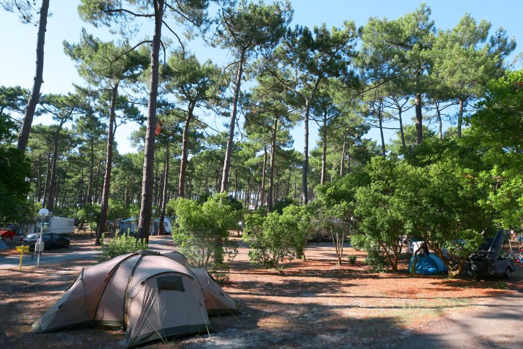Camping Plage Sud - Maeva - Biscarrosse