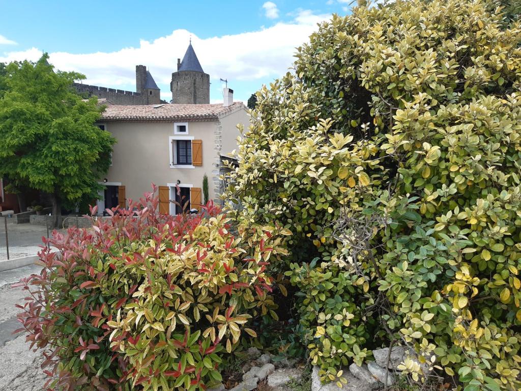 Domaine Fontgrande Gîte - Carcassonne