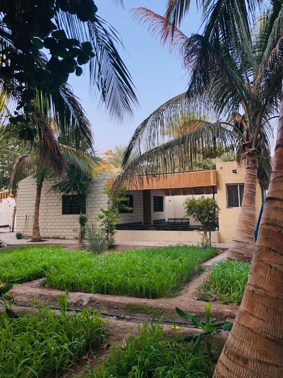 Nizwa garden suite - Oman