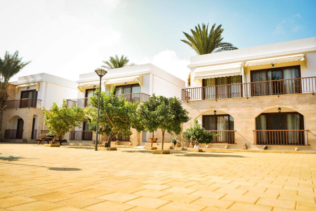 Golden Palms Guest House & Cafe - Cyprus