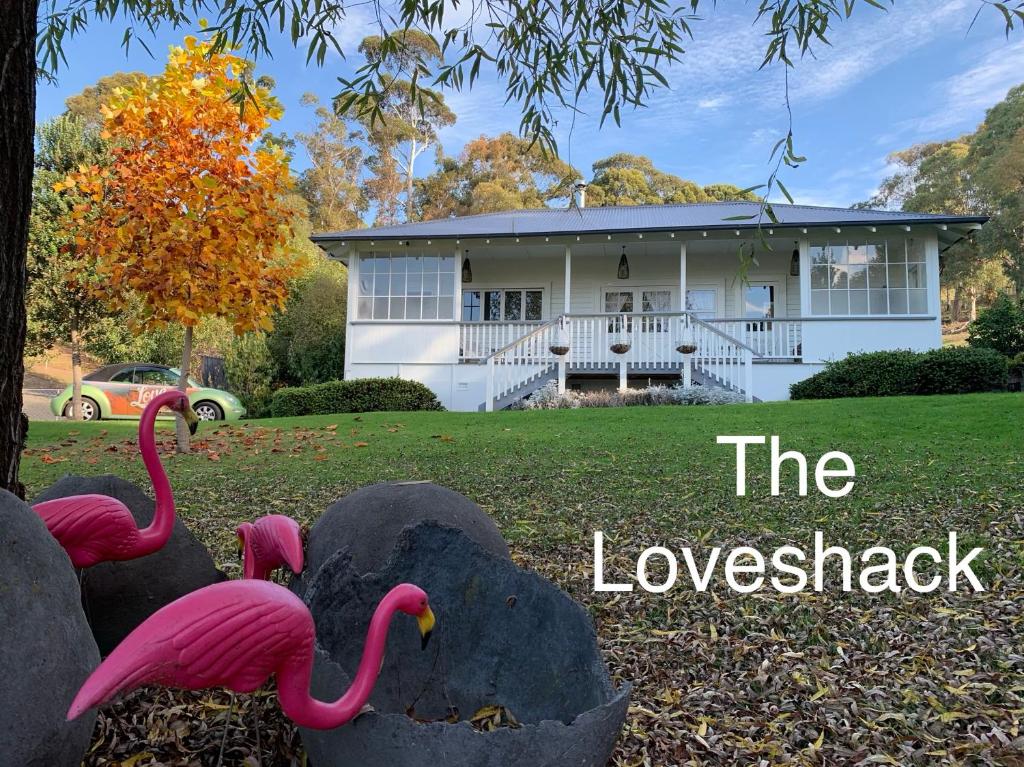 The Loveshack - New Zealand