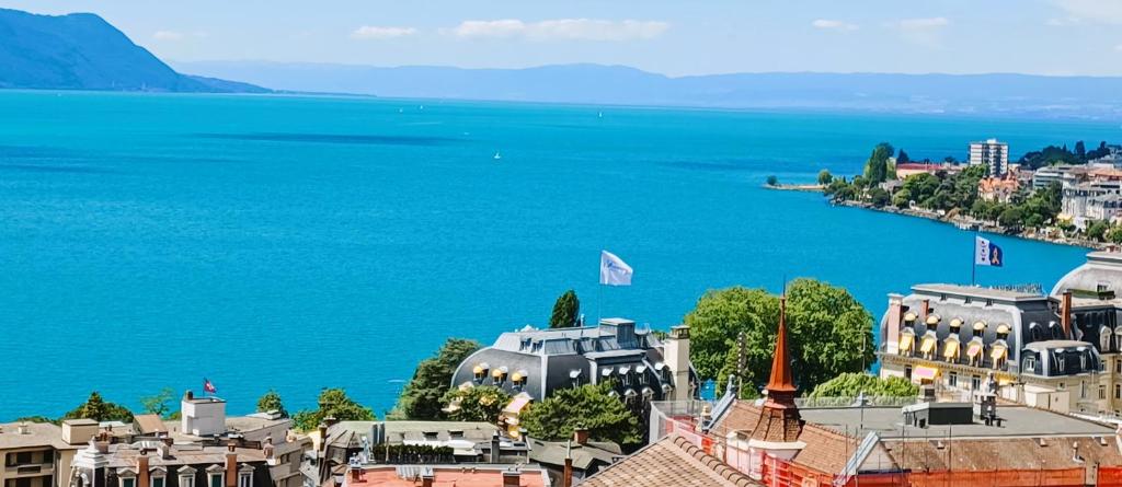 La Plus Belle Vue Du Lac Léman - Montreux