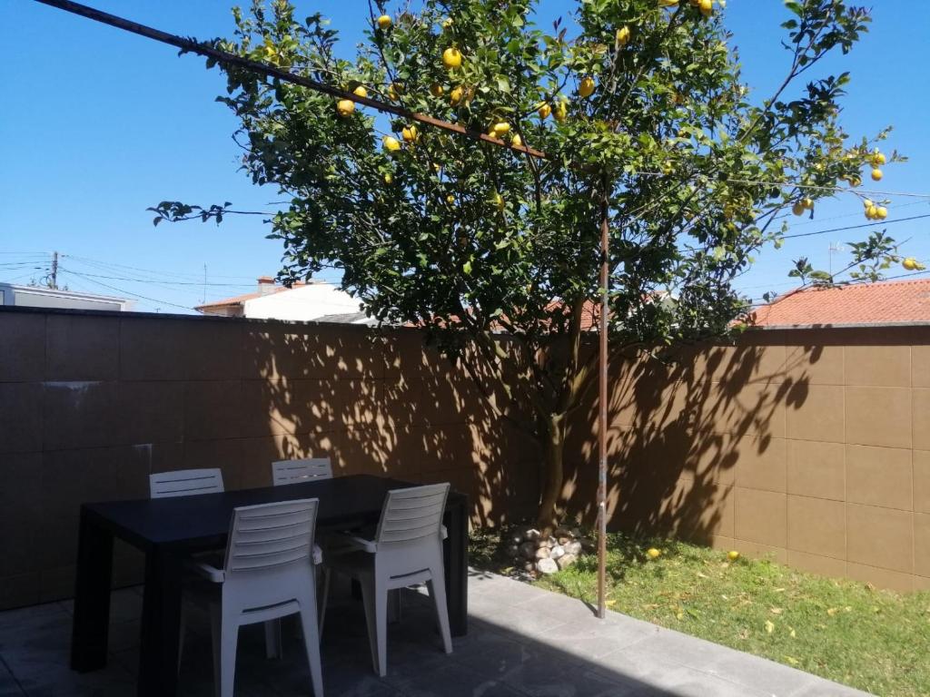 Lemon Tree Apartment - Árvore