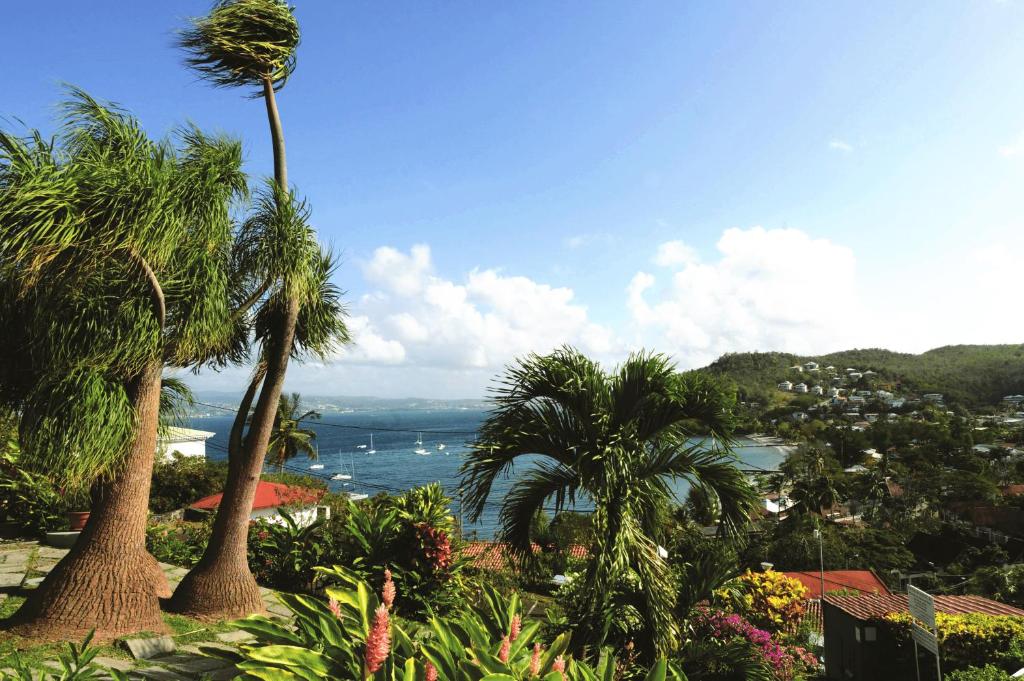 Le Panoramic - Martinique