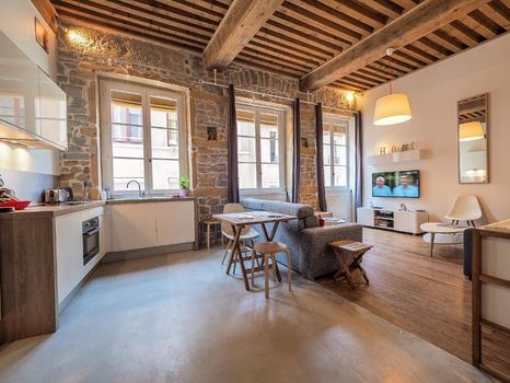 Airbnb Location Vacances Appartement A Lyon Cozycozy