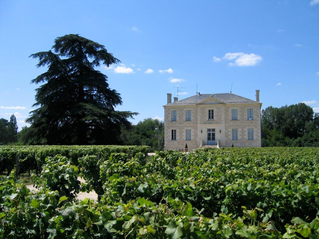 Château Mauras - Langon