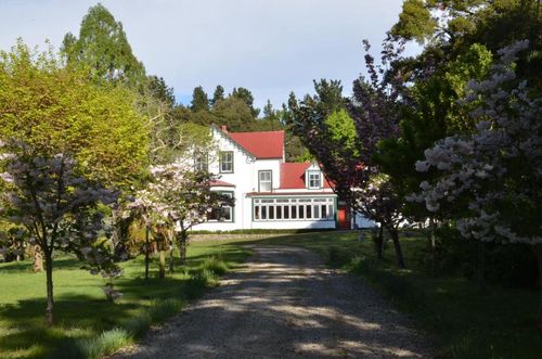 New Zealand B&B, Guest Houses and Inns Cozycozy