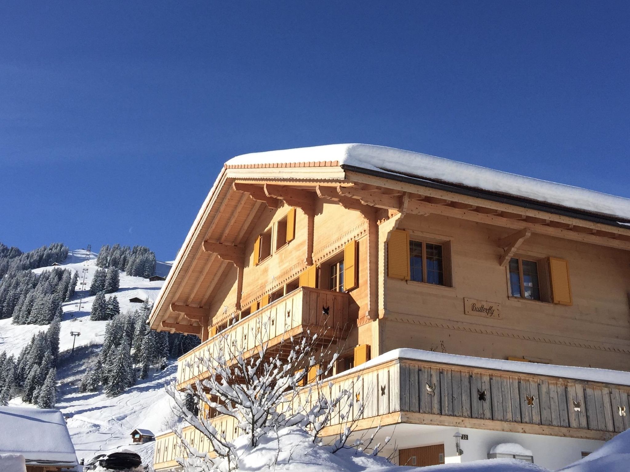 Butterfly  with 3 bedrooms and 1 bathrooms - Adelboden