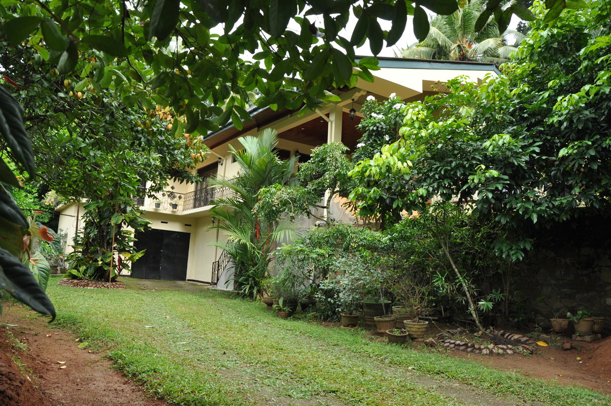 Green View Home Stay - Sri Lanka